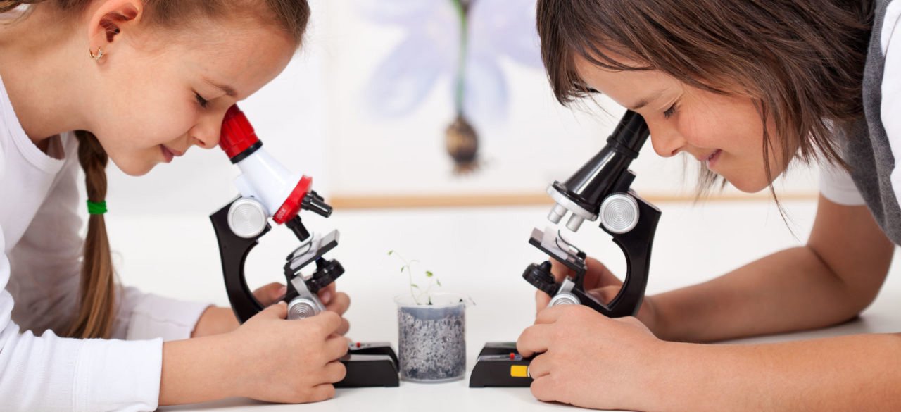 микроскопы детские в Сочи